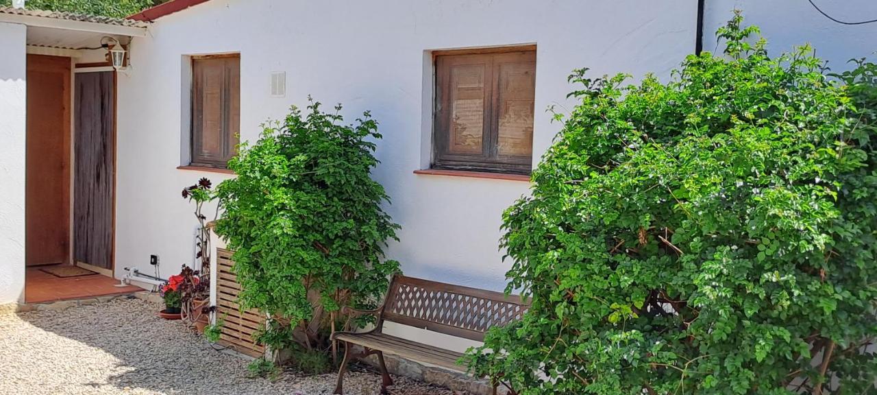 Finca Gamundi L'Ampolla Exterior photo
