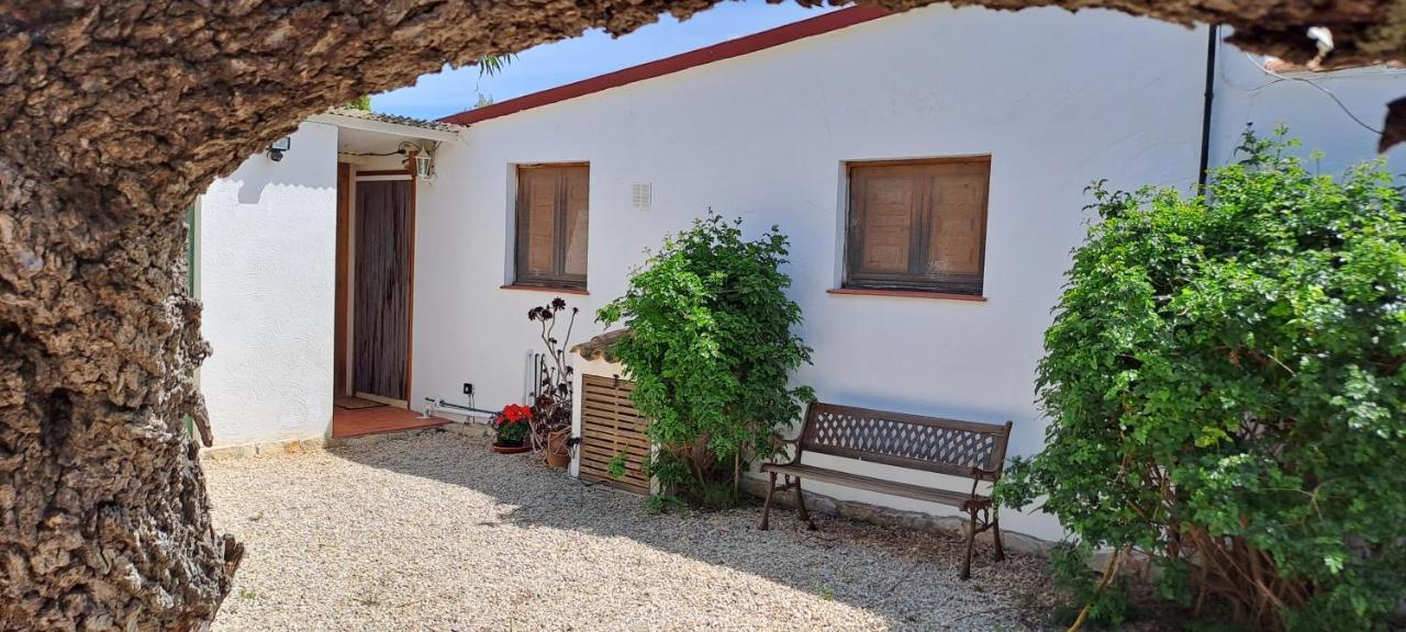 Finca Gamundi L'Ampolla Exterior photo